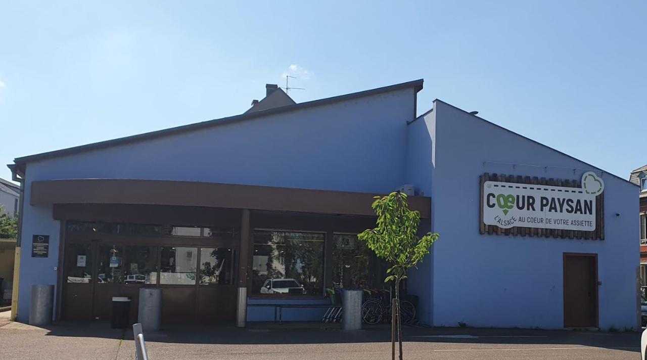 Le Bienvenue A Colmar - Parking Prive Inclus, Centre A Deux Pas Apartment Exterior photo